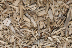 biomass boilers Skegoniel