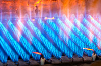 Skegoniel gas fired boilers