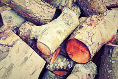 Skegoniel wood burning boiler costs